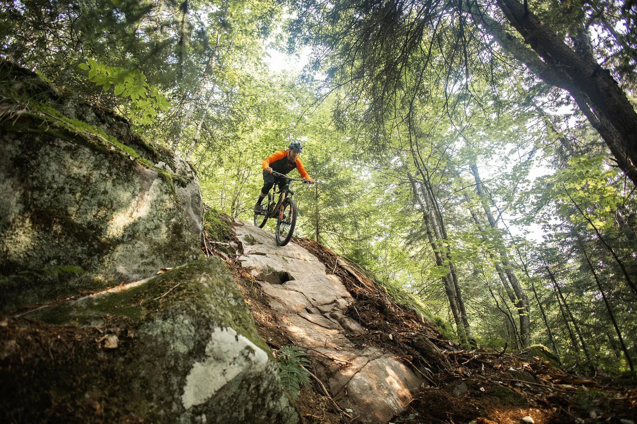 a mountain biker descends a very steep and rocky section on a tech trail