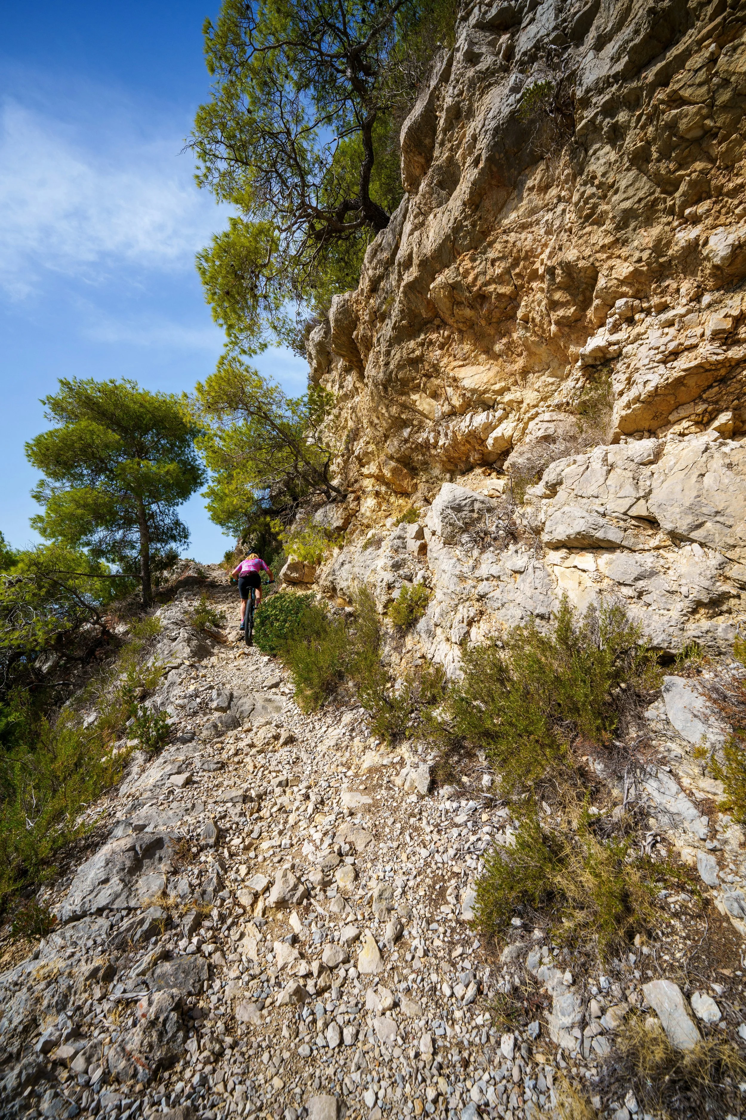 mountain biker ascending a steep section on a cross country trail