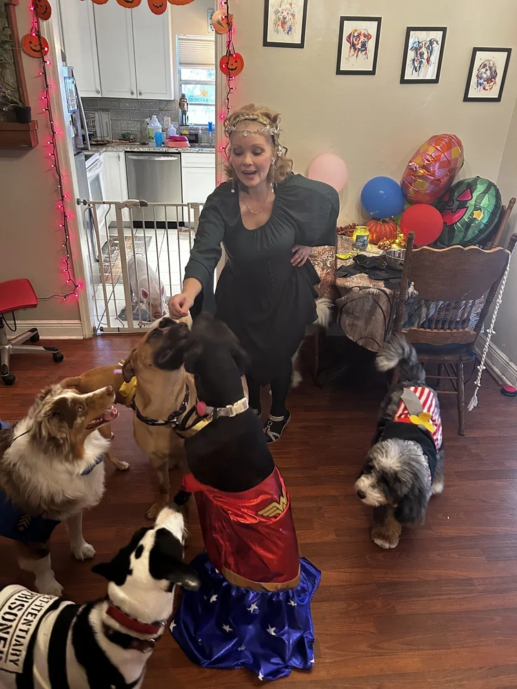 Dogs celebrating the 2025 Halloween party at Tampa Bay Canine Retreat