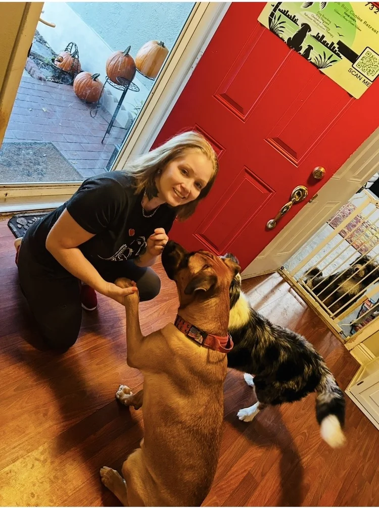 Amber Lynn of Tampa Bay Canine Retreat with dogs at the Retreat in Lutz Florida