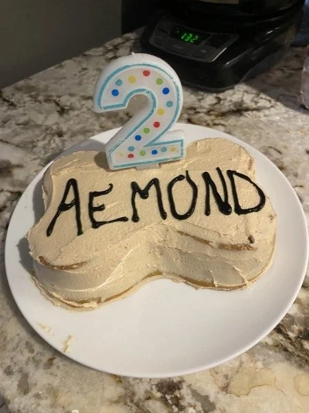 Aemond celebrating his birthday at Tampa Bay Canine Retreat