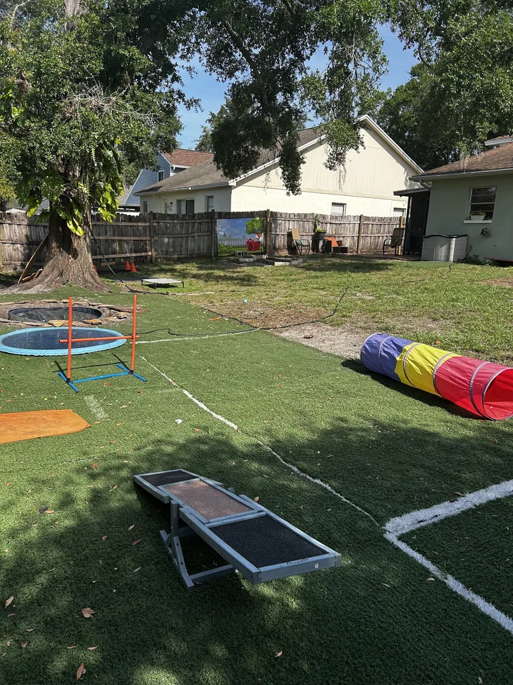 Tampa Bay Canine Retreat backyard with pool splash pad agility equipment and turf