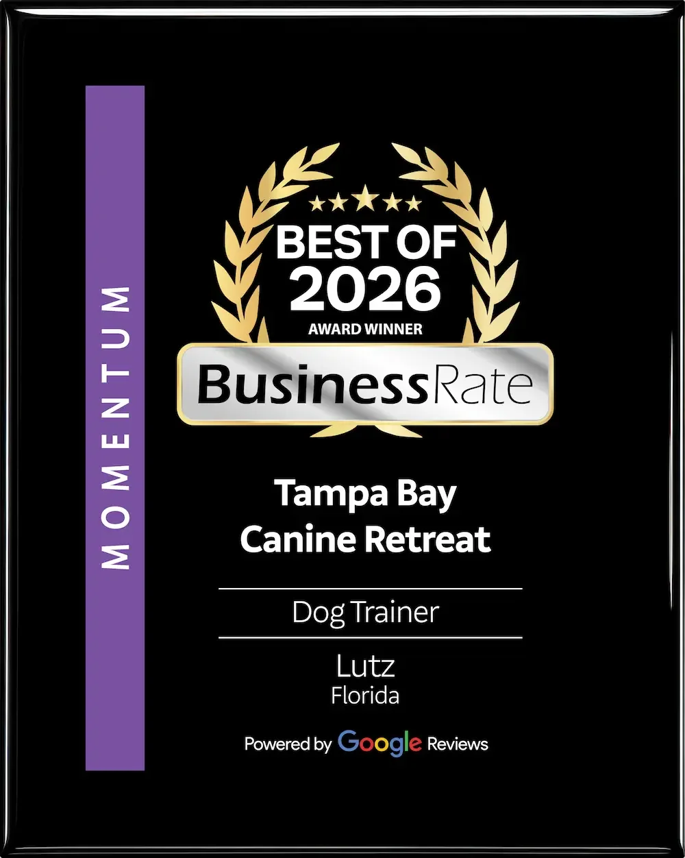 Tampa Bay Canine Retreat award for Best Dog Trainer in Lutz 2026