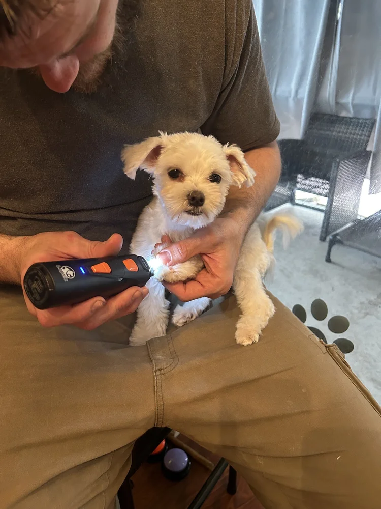 Calm nail grinding and Spa care at Tampa Bay Canine Retreat