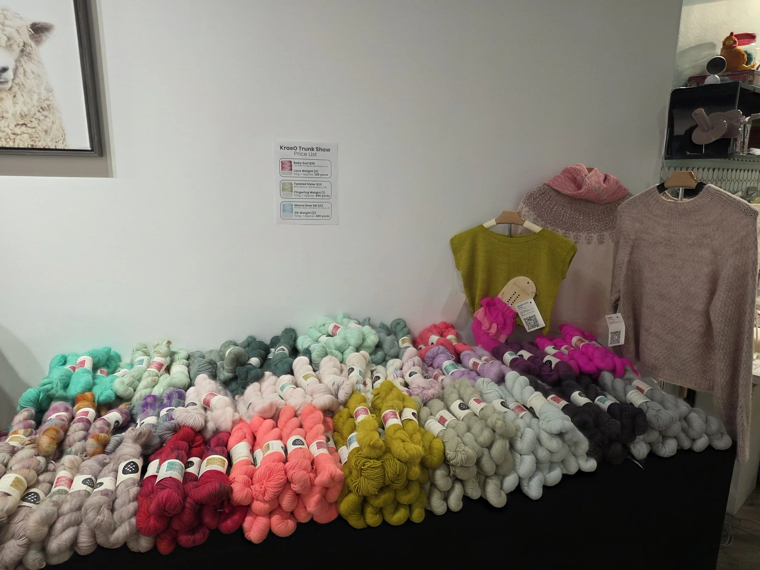 Chicago Yarn Crawl 2026 Hand-Dyed Feature Displays at AriYARN Shop and Studio
