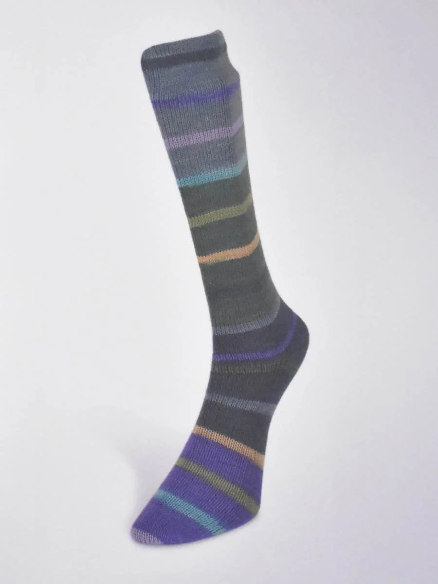 Laines du Nord Indulgence sock yarn in gray and purple stripes
