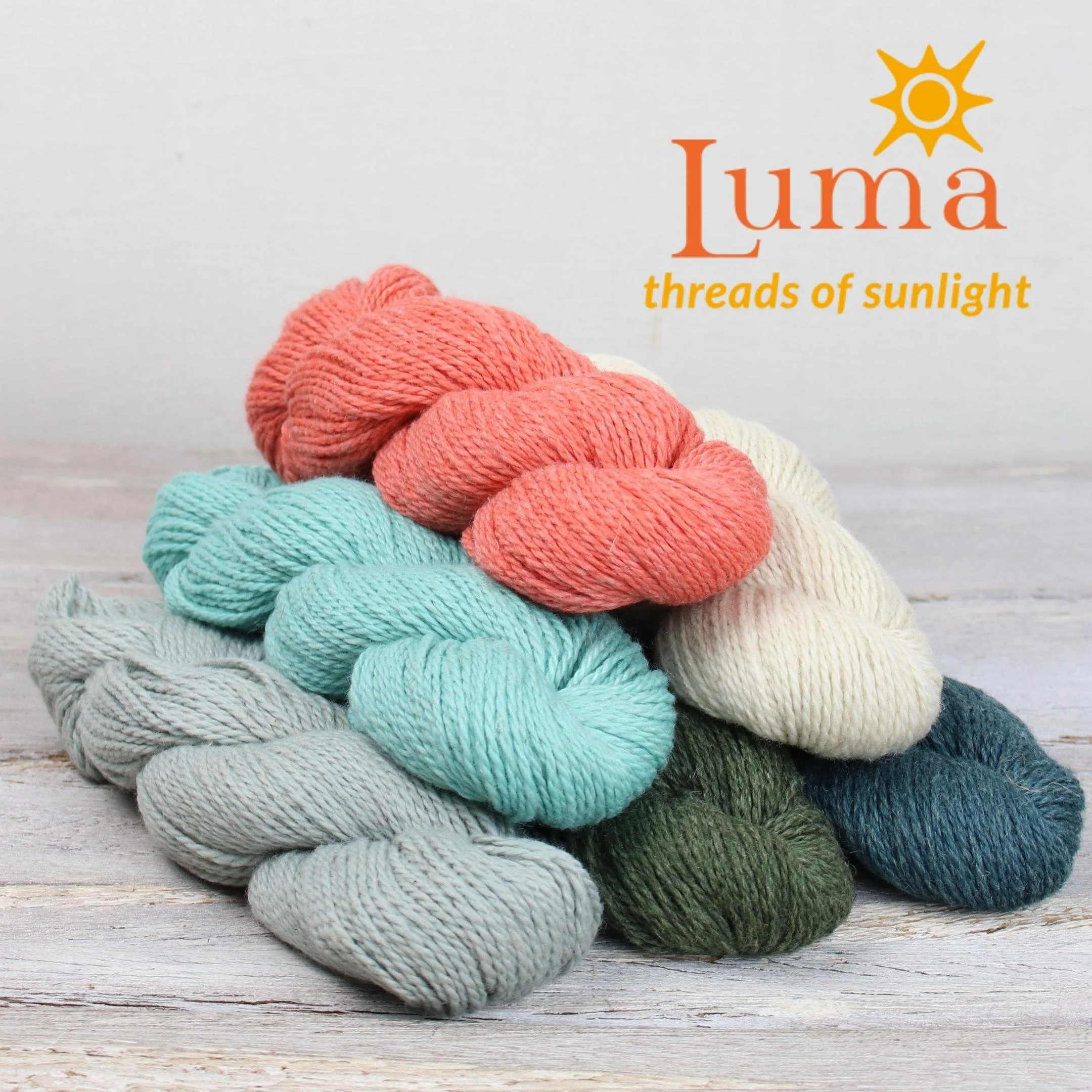 The Fibre Co Luma DK weight yarn multicolor skeins arranged showing range of hand-dyed colors
