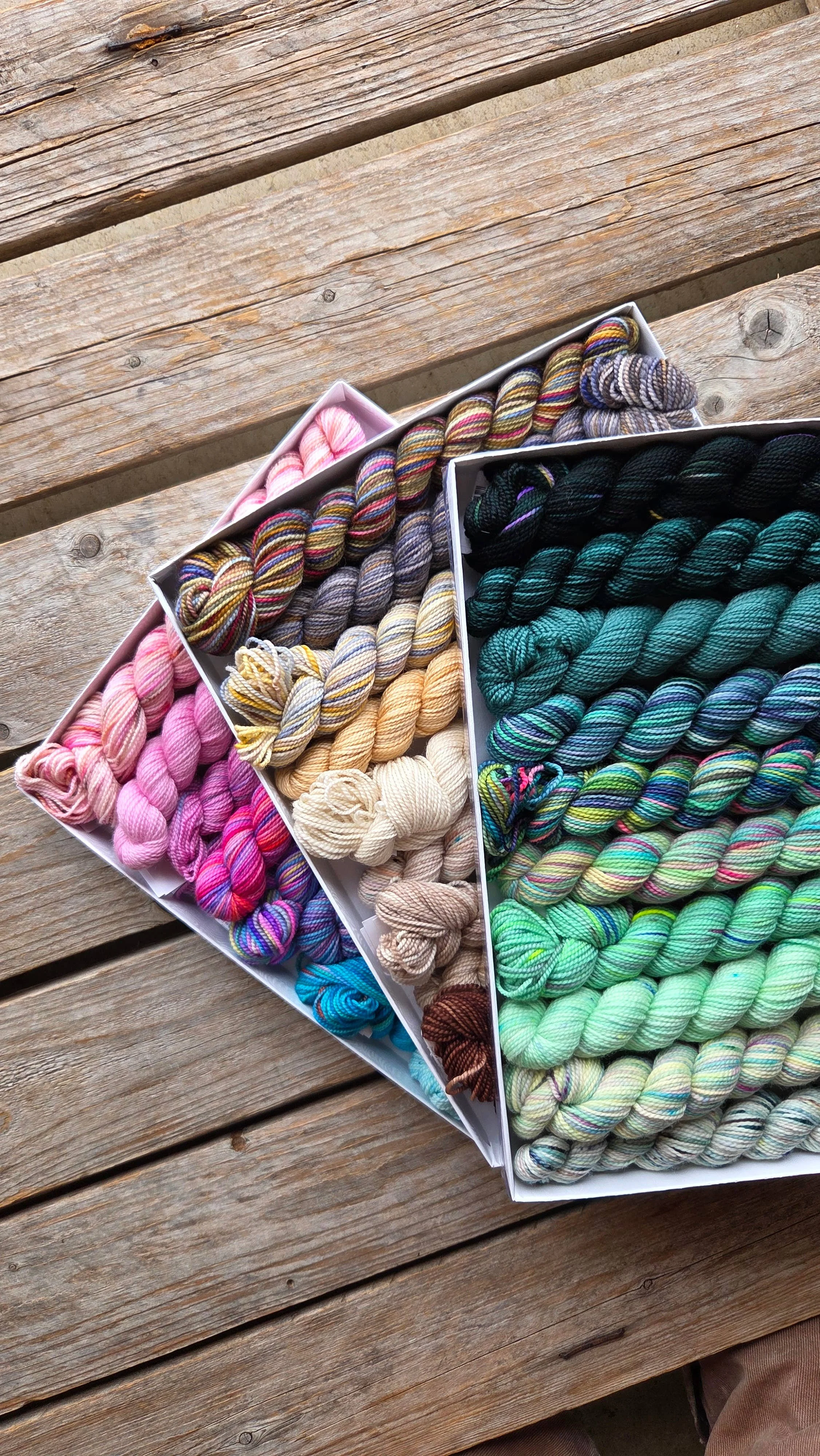 Koigu Venation shawl kit boxes with coordinated skeins in varied colors