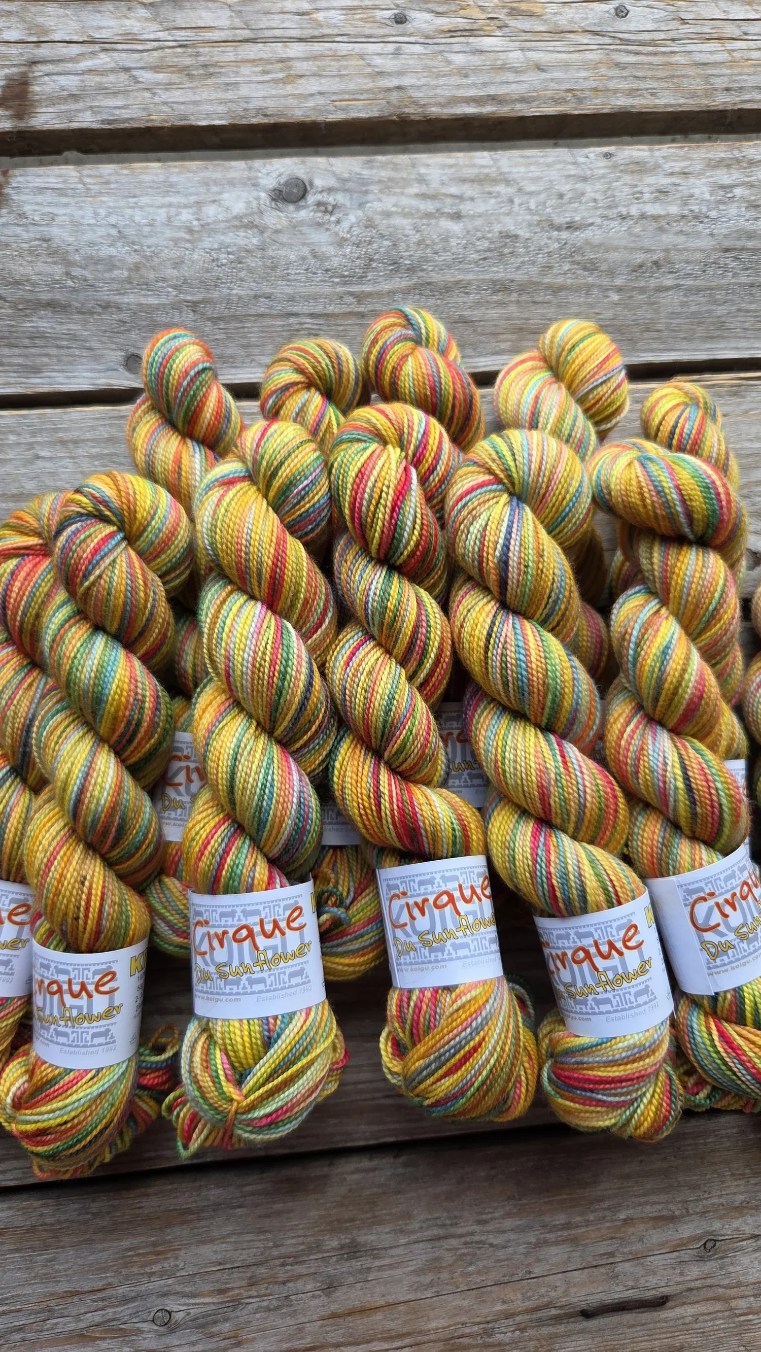 Koigu Collector Colour group photo with sunflower-inspired palette