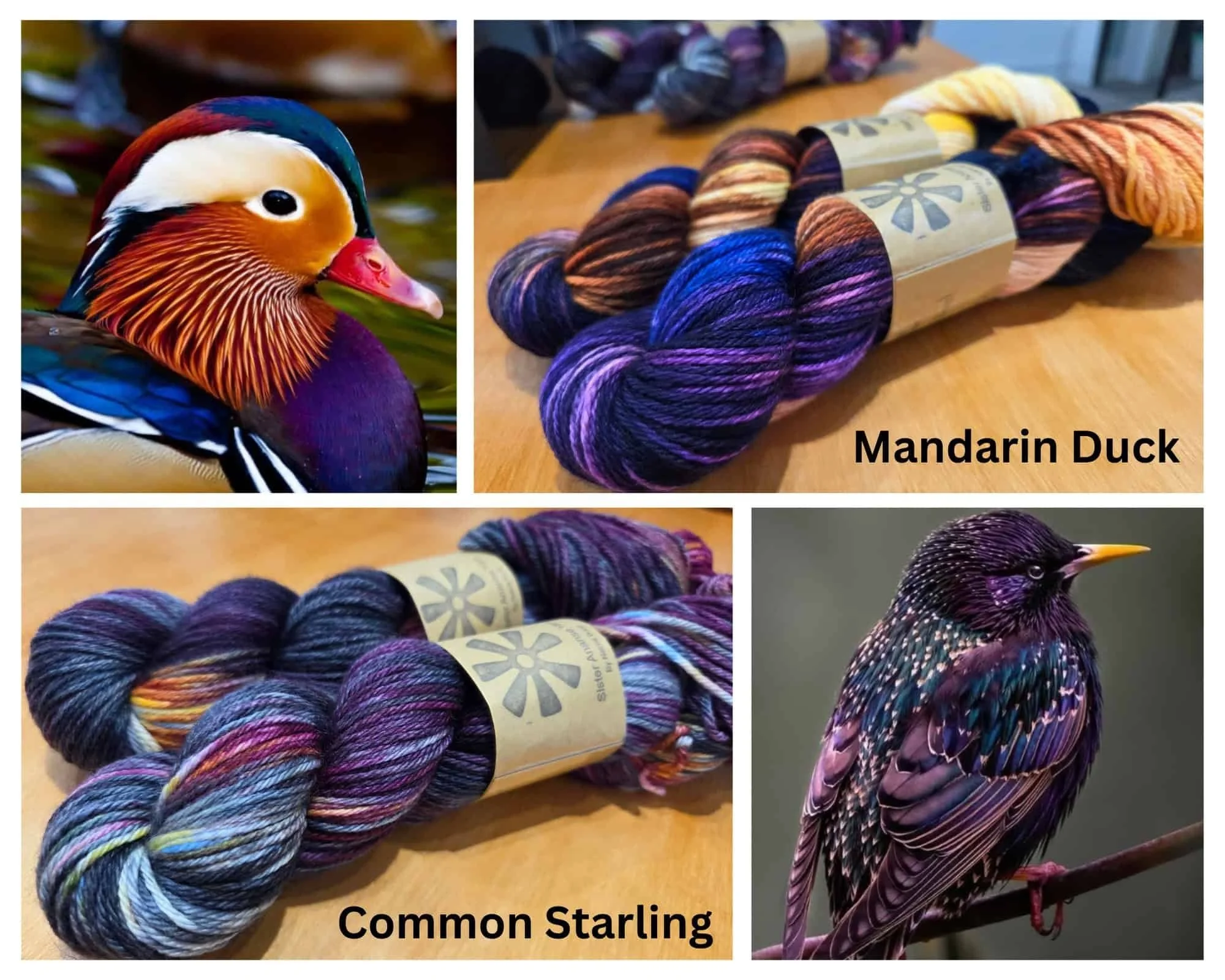 Bird-inspired yarn colorways including Mandarin Duck and Common Starling palettes