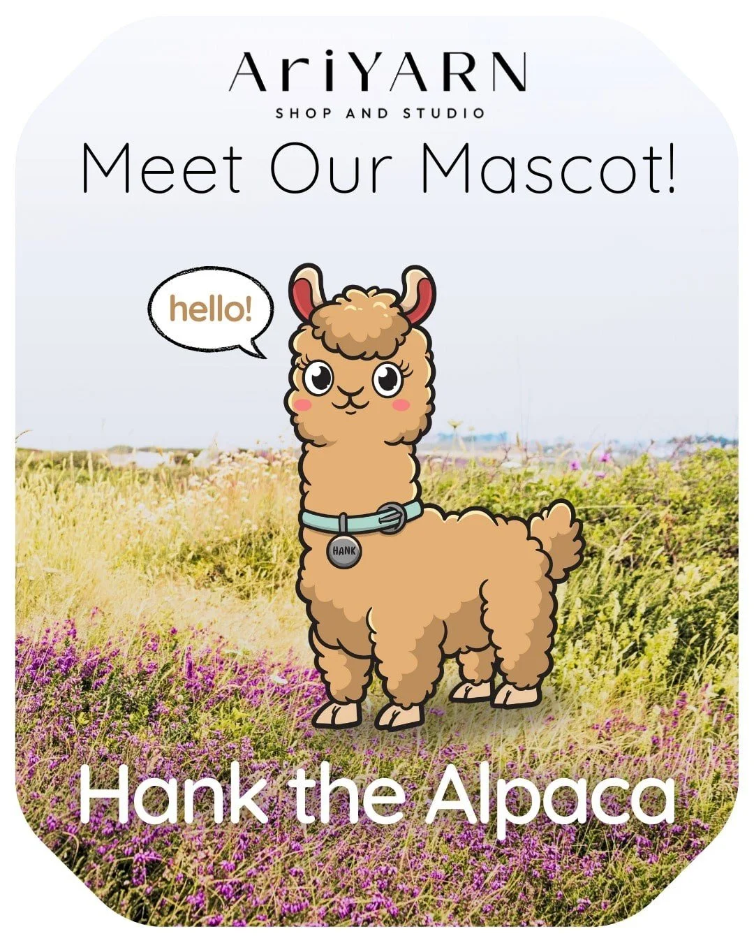 Hank the Alpaca, the official AriYARN Shop and Studio mascot