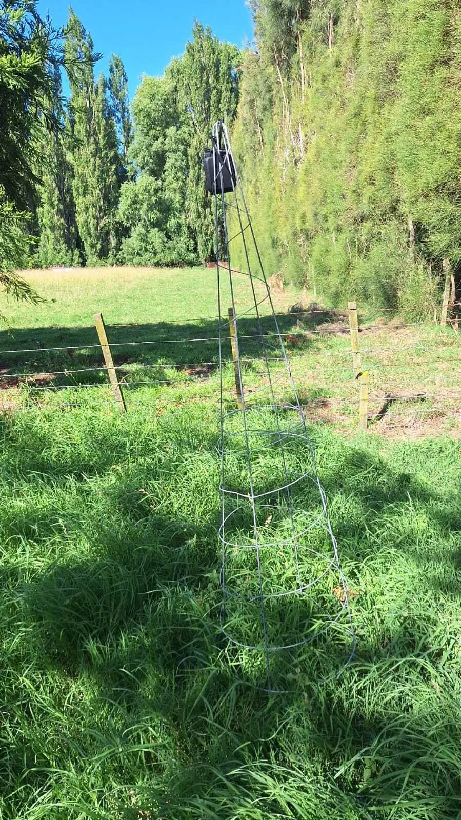 Native bush habitat surveyed as part of the Echoes Around Te Mata project
