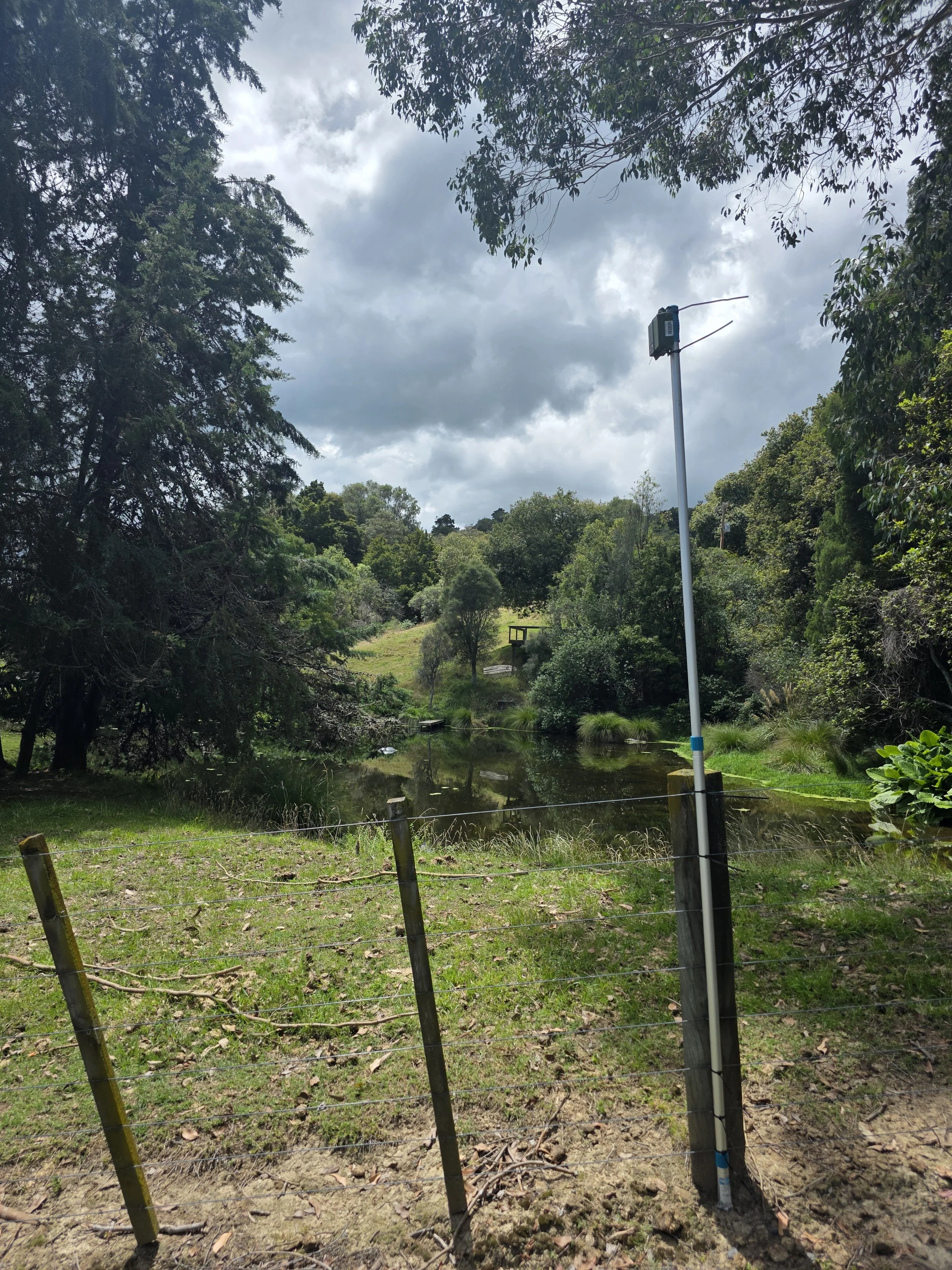 Detector mounted high on a pole fixed to a fence post in front of bush