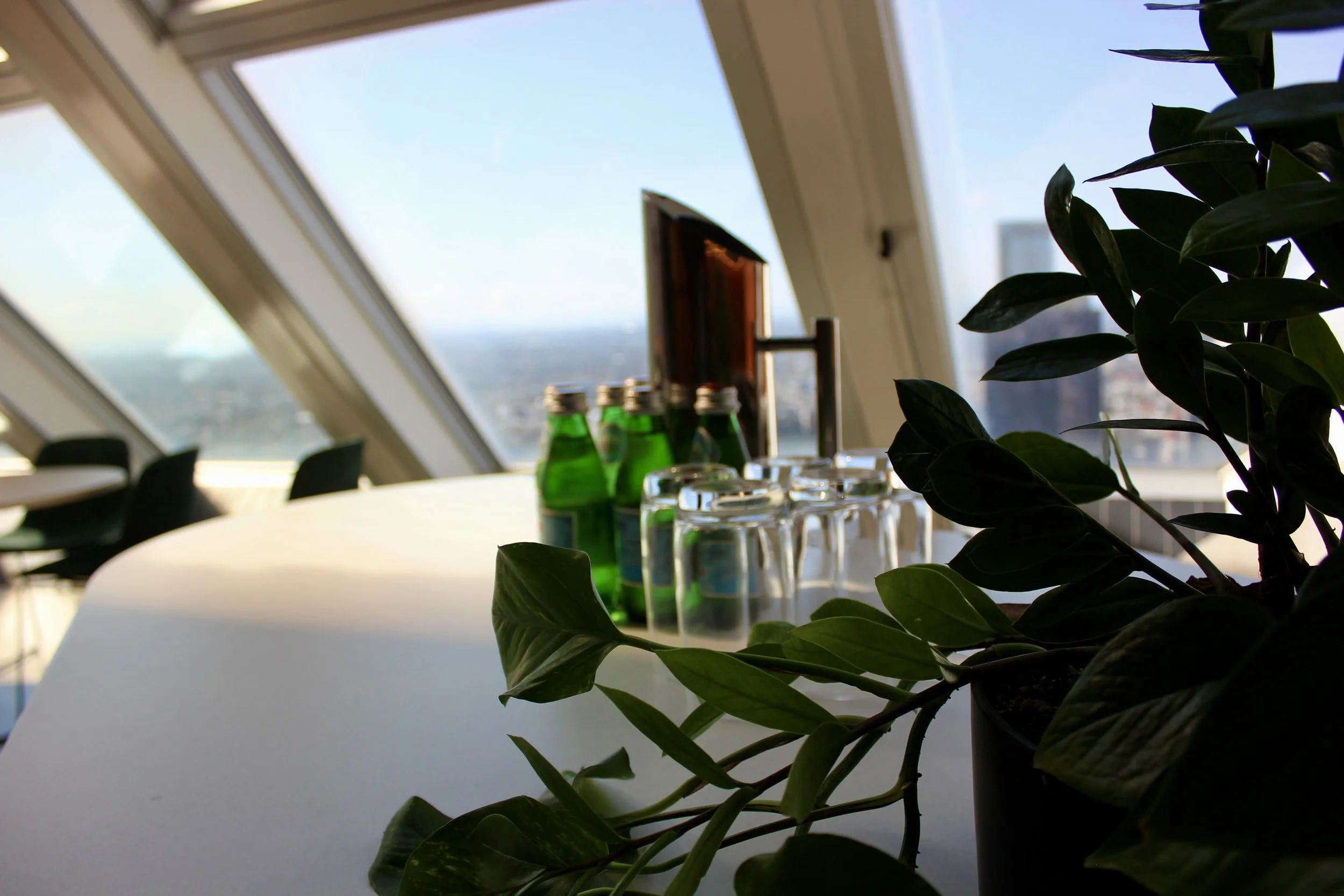 A bright IComm office space with greenery, glassware and a city view.