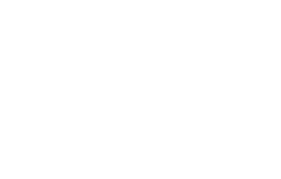 HEYDUDE, Rogue Dynamics client