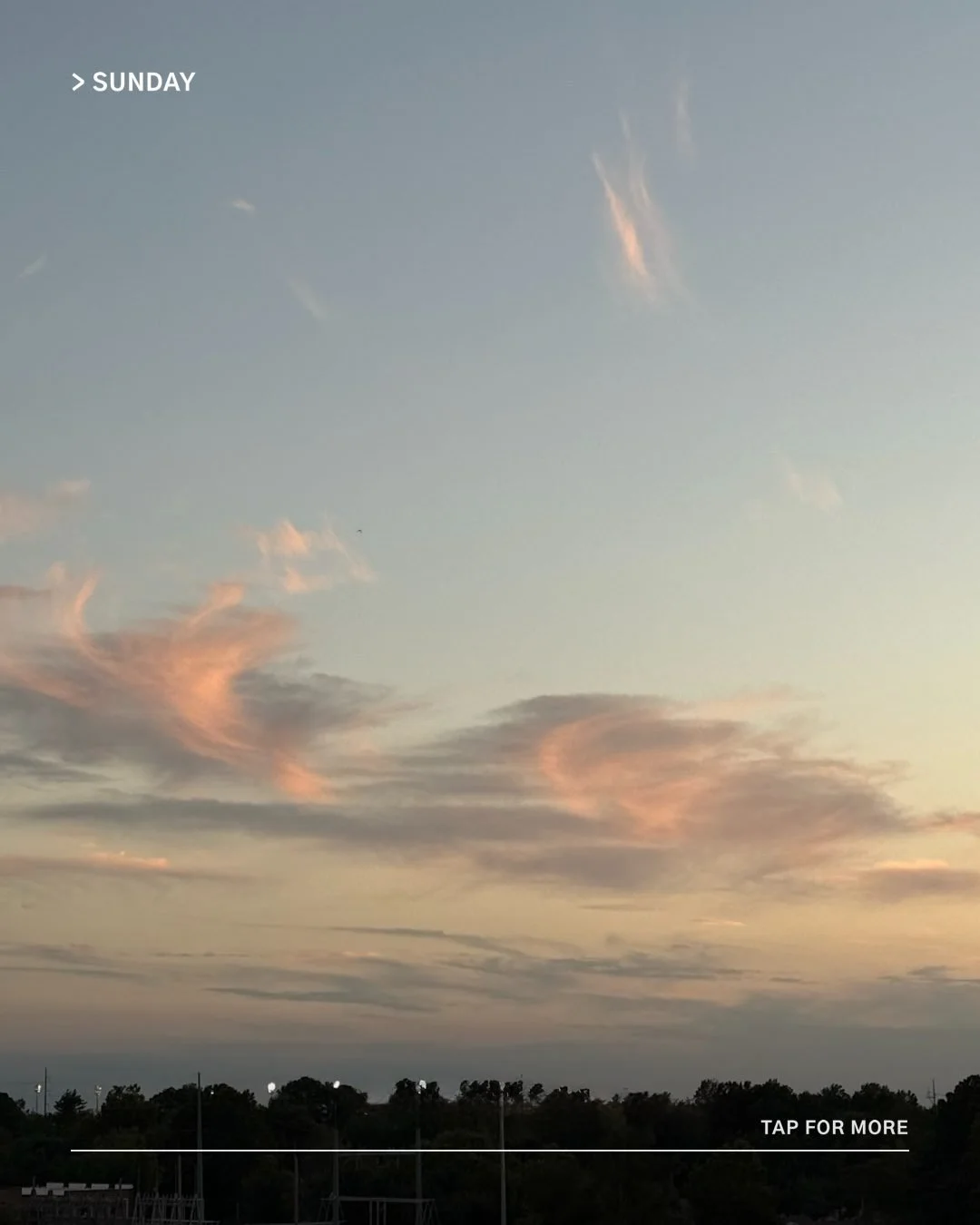 Pink-lit clouds over a treeline at dusk