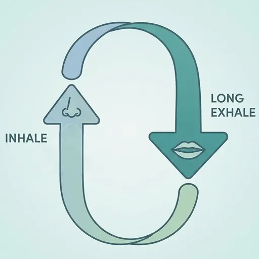 Instructional diagram showing the cyclic sighing technique: two short nasal inhales followed by one long slow mouth exhale