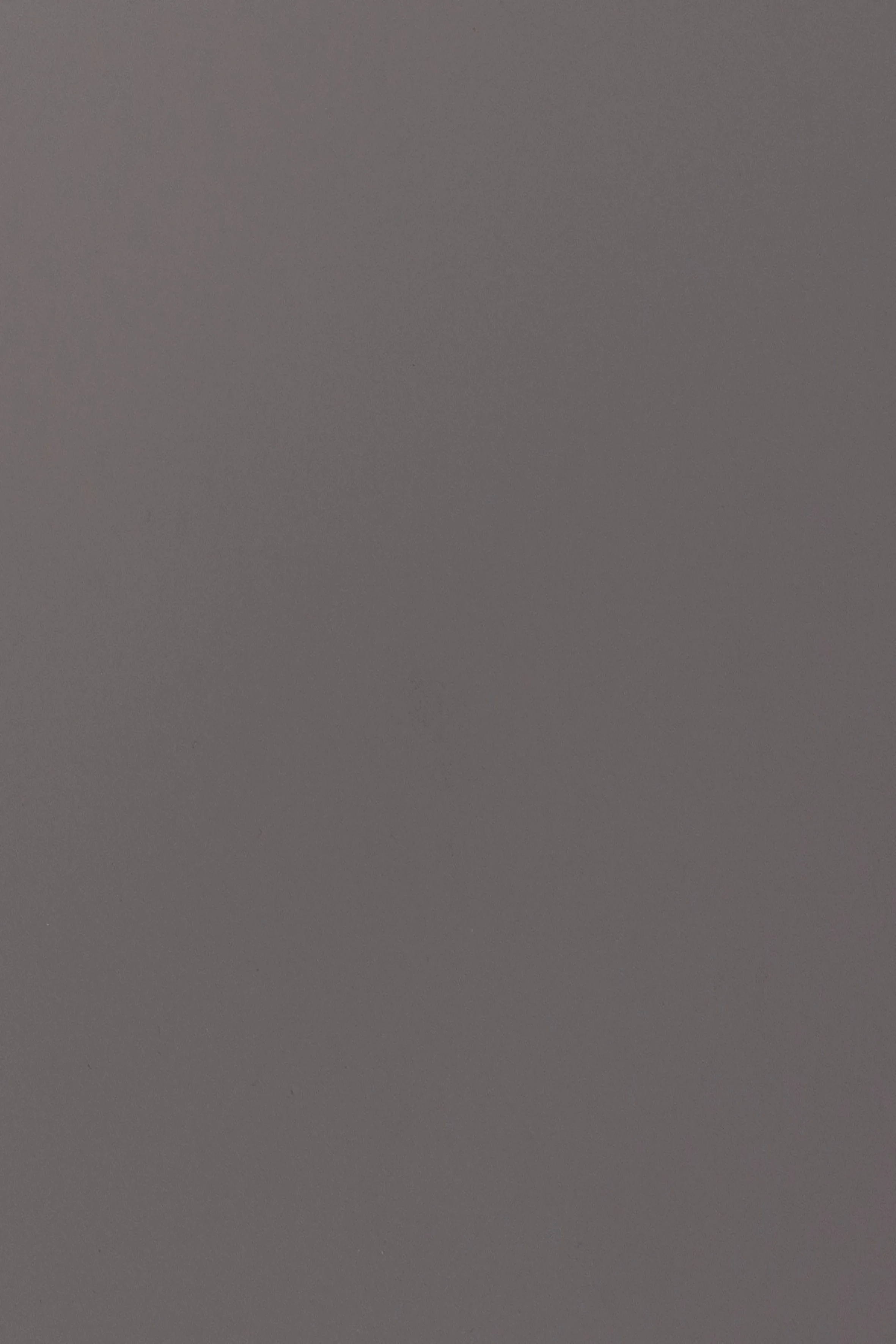 Taupe Taupe