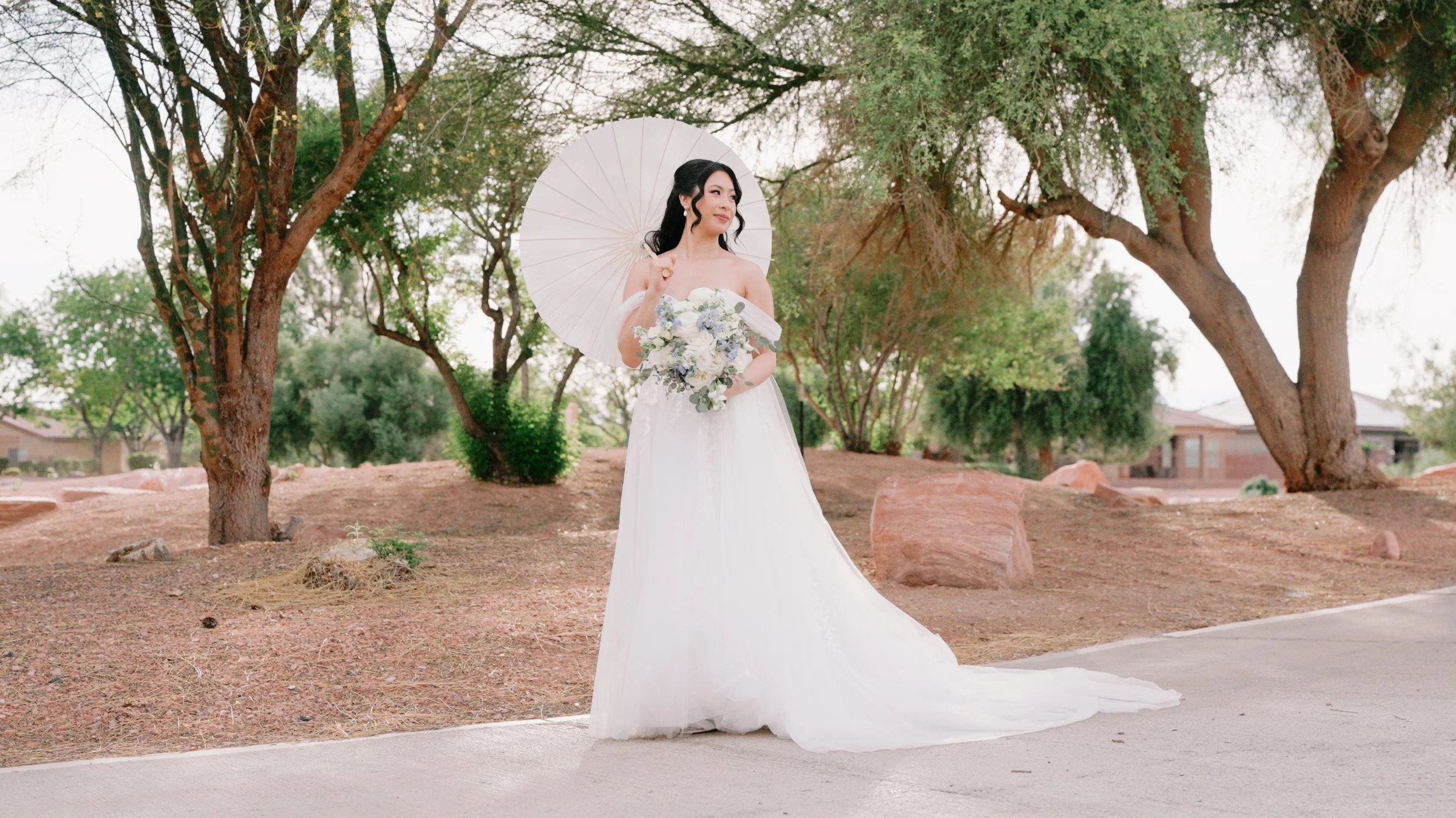 Bride with a parasol at Stallion Mountain, Las Vegas