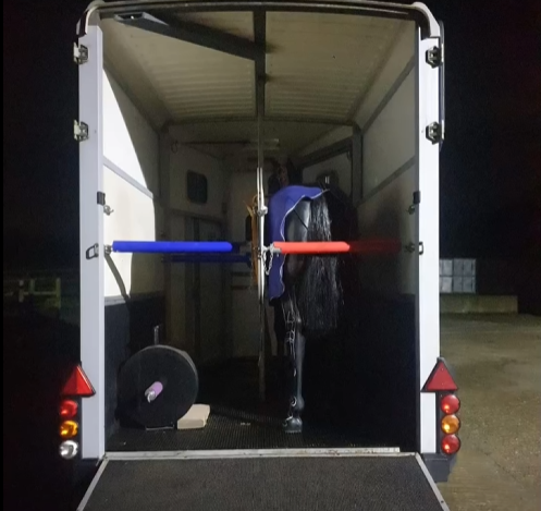 ESR Bar safety bars used inside a horse trailer