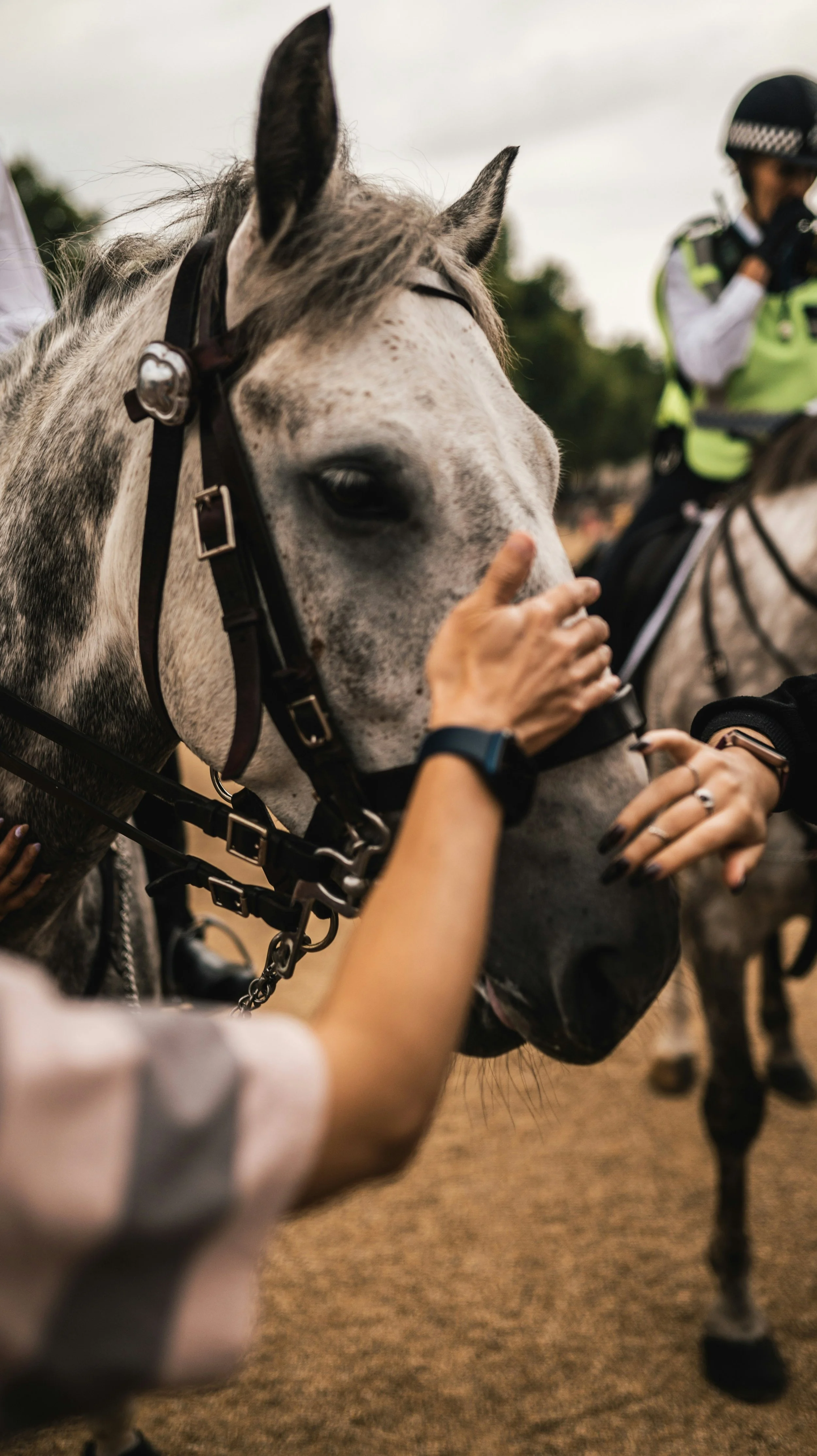 Rider hacking on a country road in spring