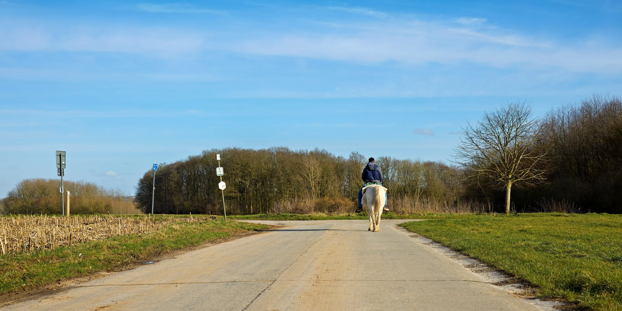 Rider hacking on a country road in spring