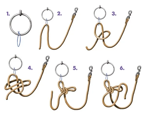 Quick release knot used for tying horses in a stable yard