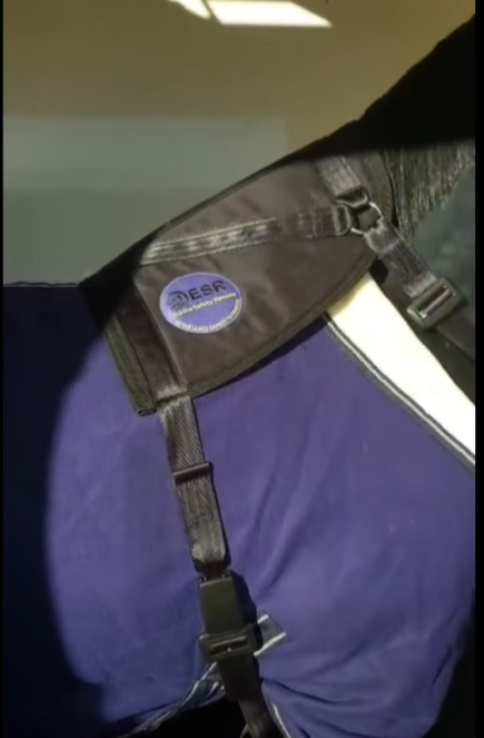 ESR branded equestrian equipment and expanding product range