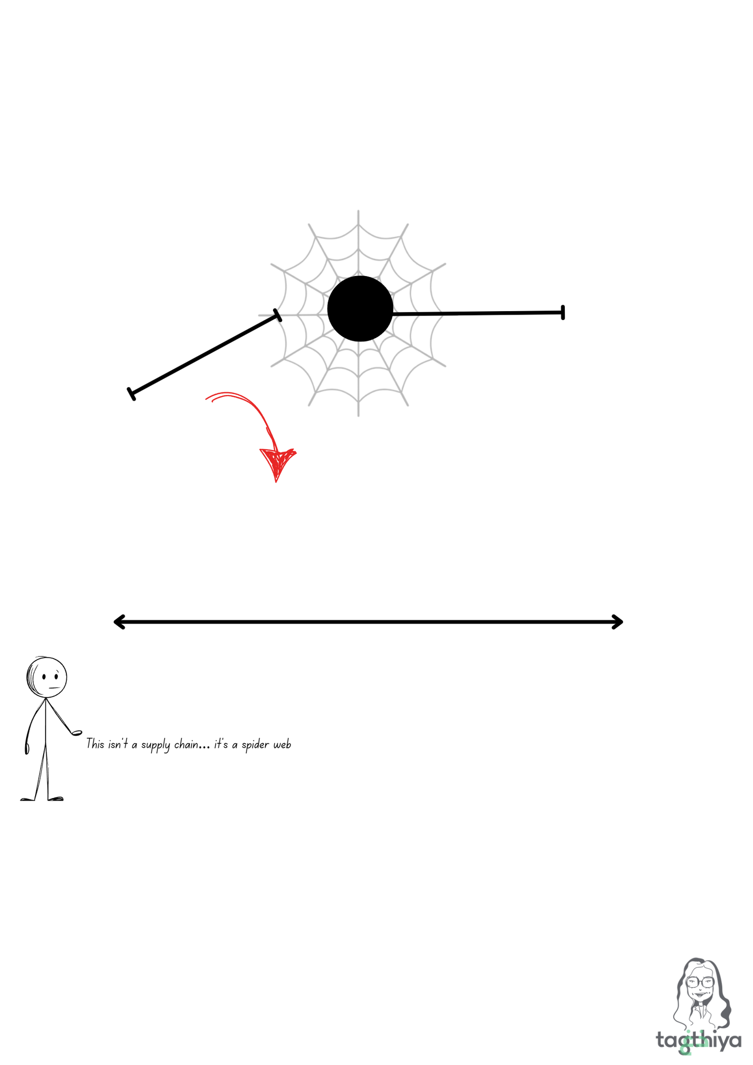 This isn ' t a supply chain … it s a spider web