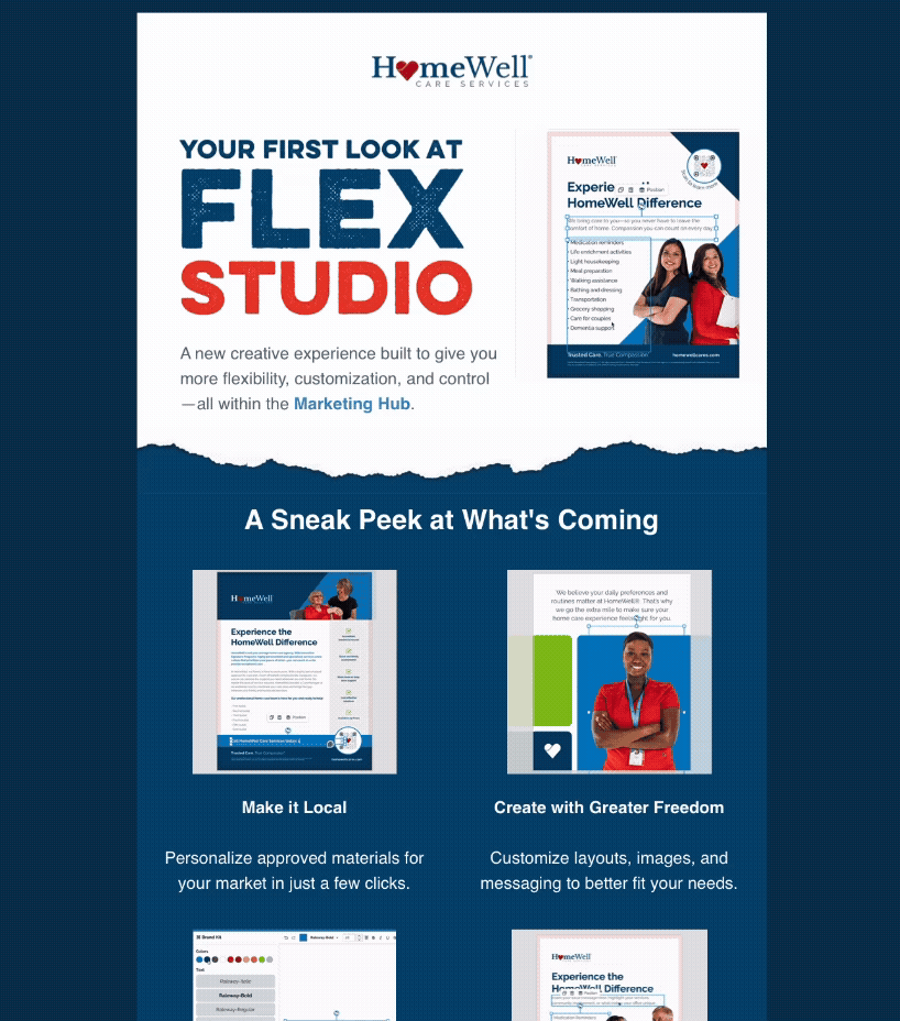 Preview email