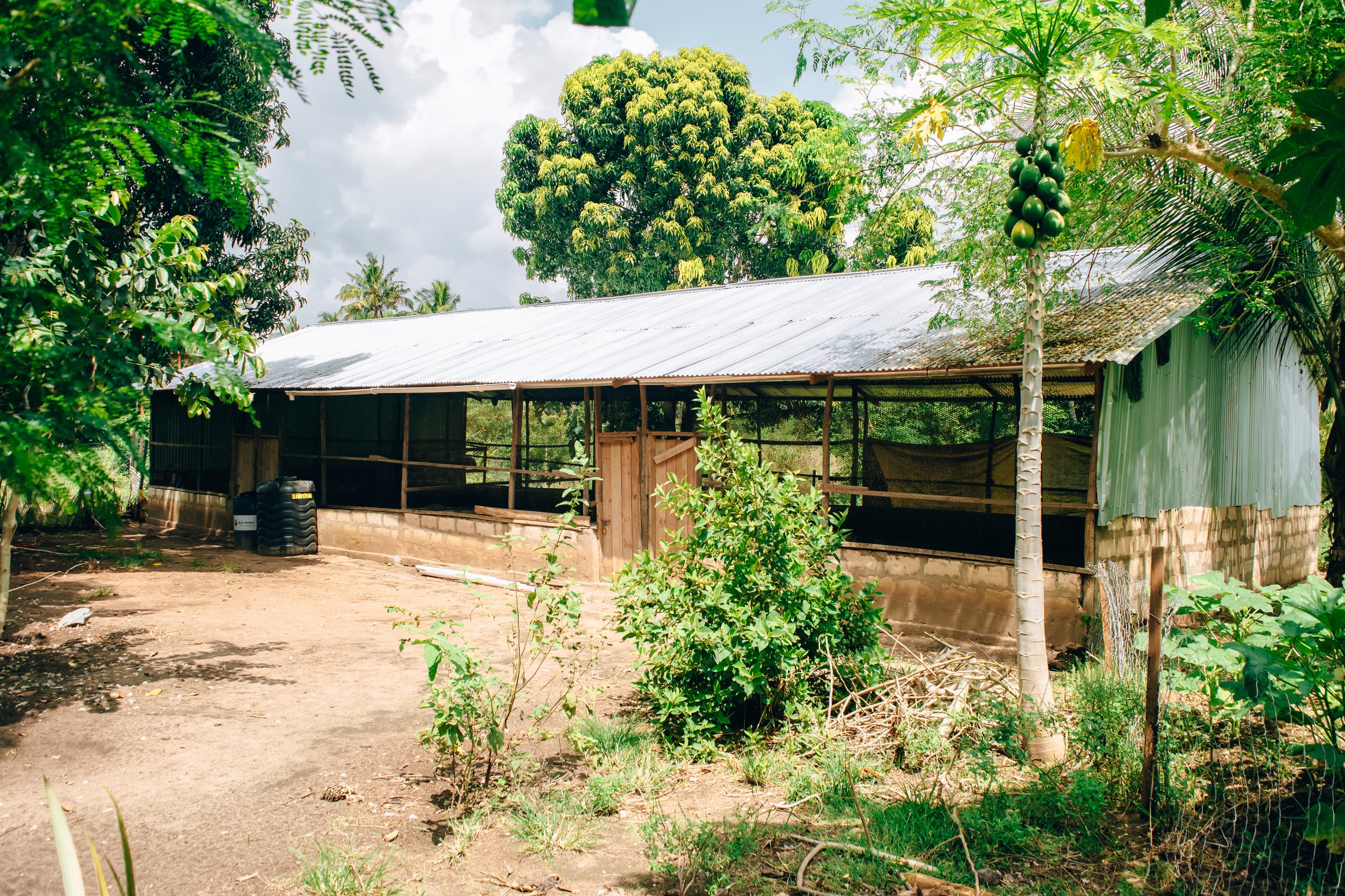 Chicken coop at Thayu Farm