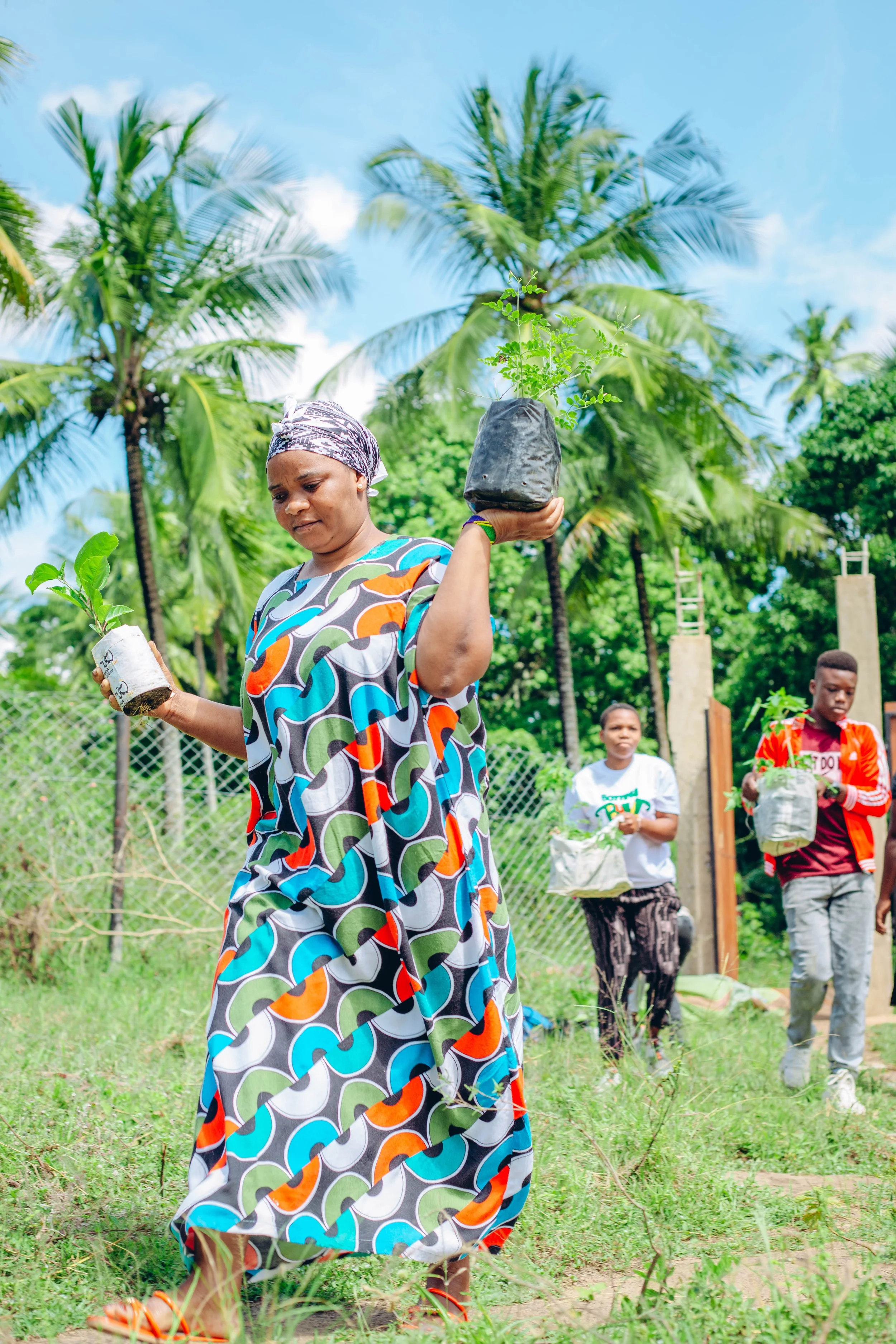 Trees planted in honour of Mark