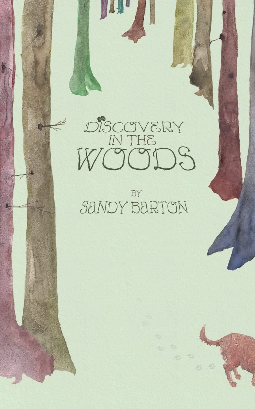 Discovery In The Woods Cover