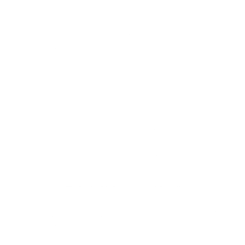 Praesidium Protective Services