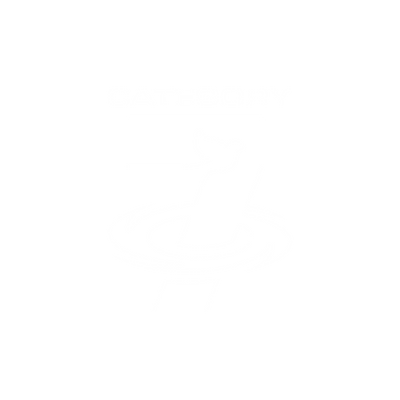 Category 7 Logo