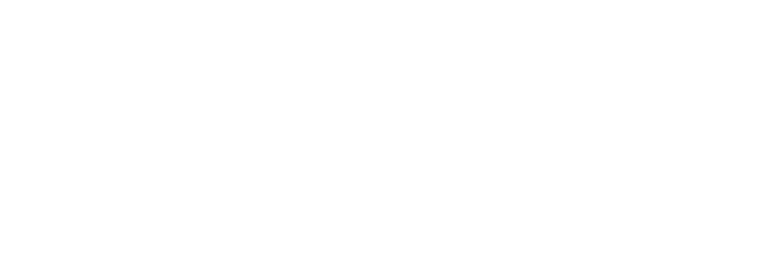 LEARNSERVE INTERNATIONAL LOGO