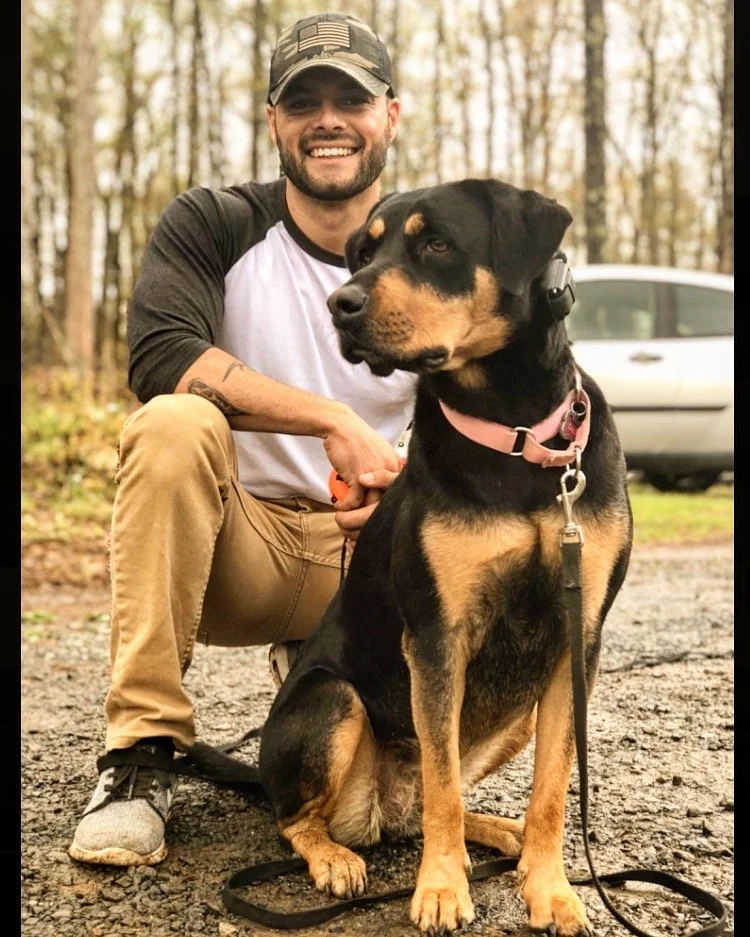 Rescue dog building confidence and trust during a Cosmo K9 Rescue Reset training program