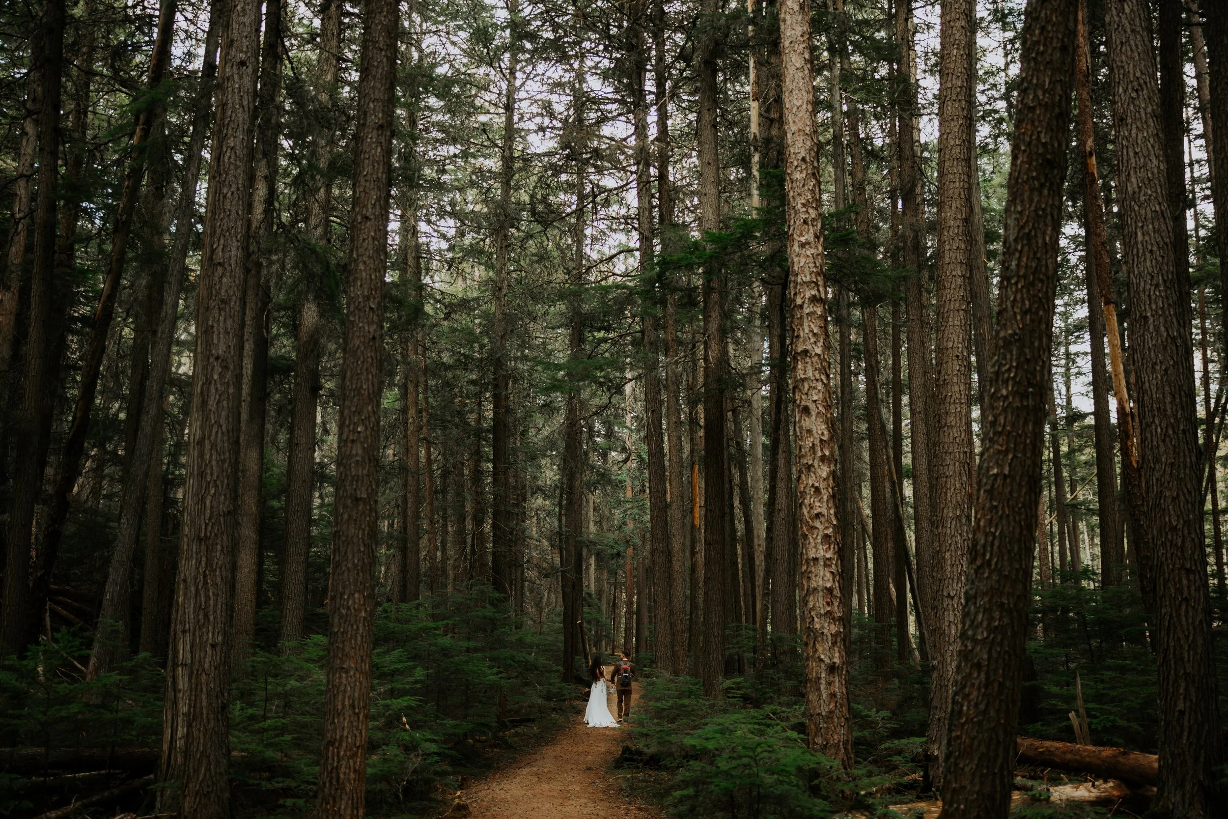 Wide wedding photo by Aundrea Marie Photography