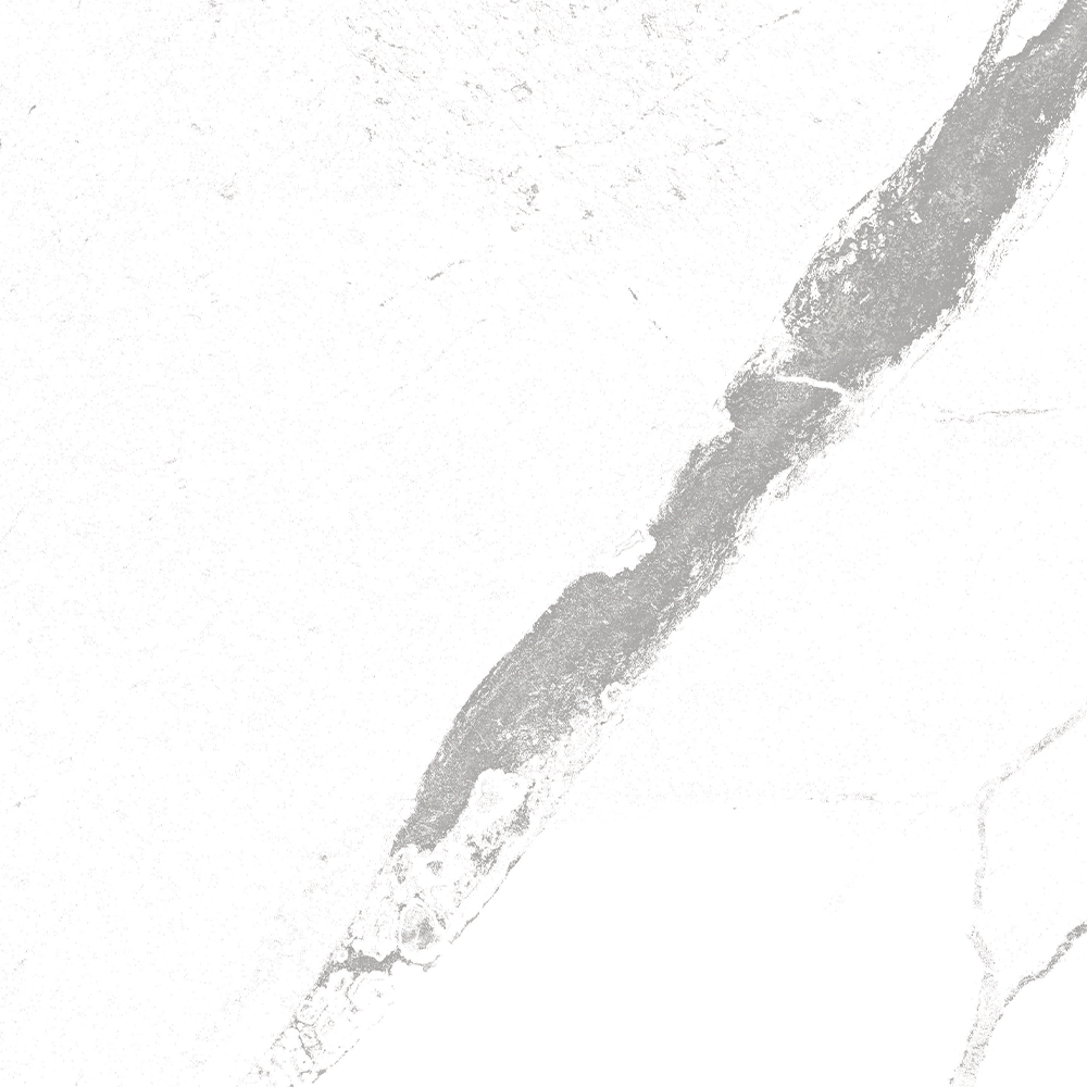 Nero White wall color