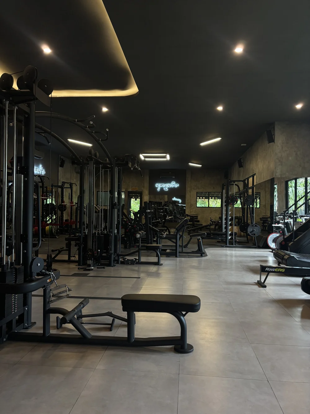 The gym