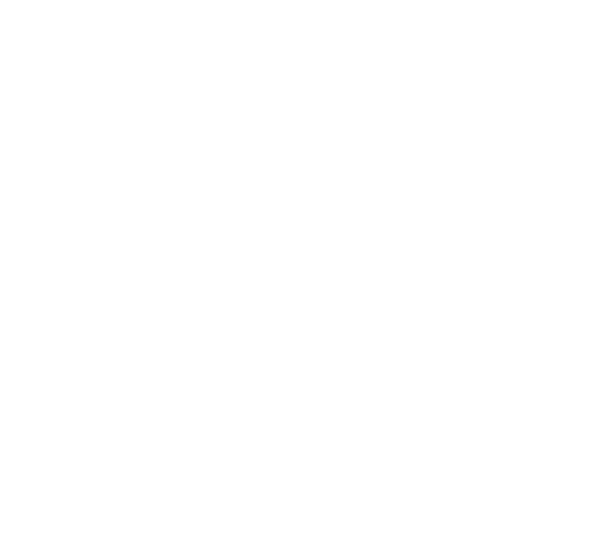 Business Intelligence