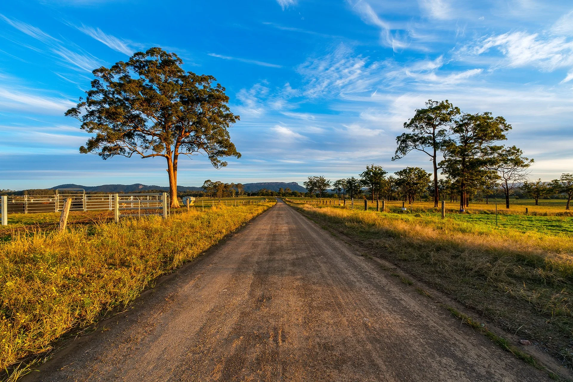 Late afternoon light over Rosewood Road looking towards Bago Bluff near Wauchope NSW Photo by Craig Williams Photography