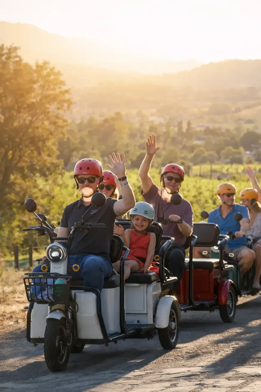 Sonoma Plaza electric trike tour