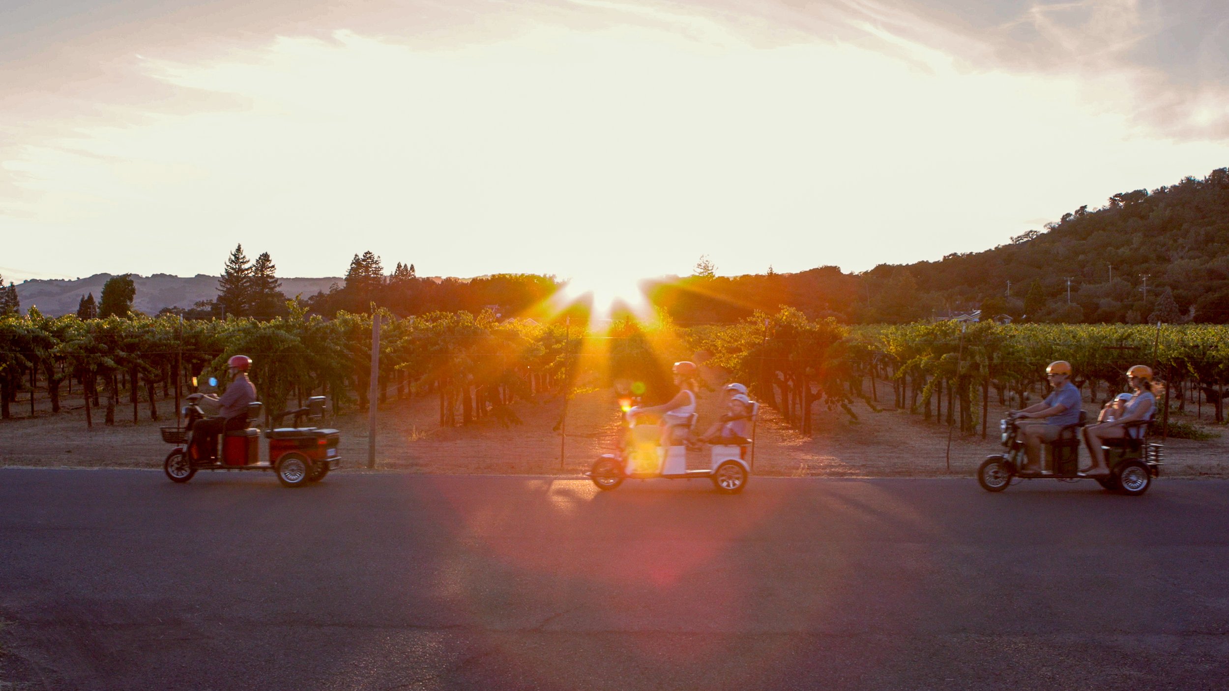 Sonoma sunset wine country tour