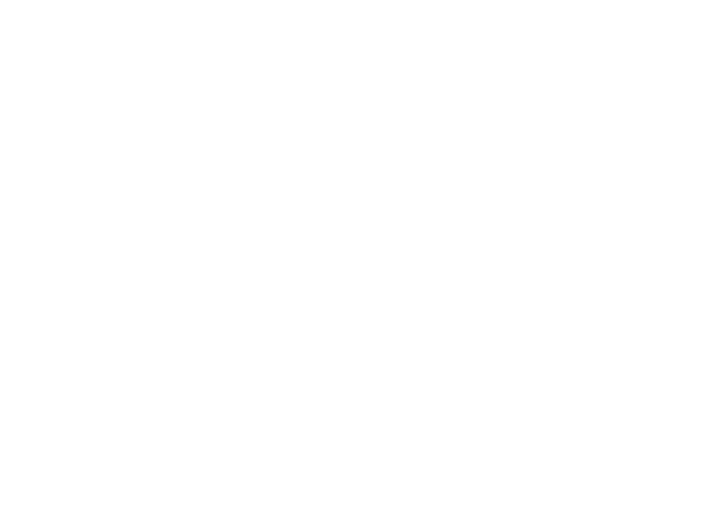 RadCat logo
