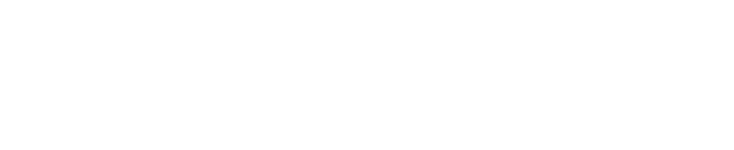 RadCat logo