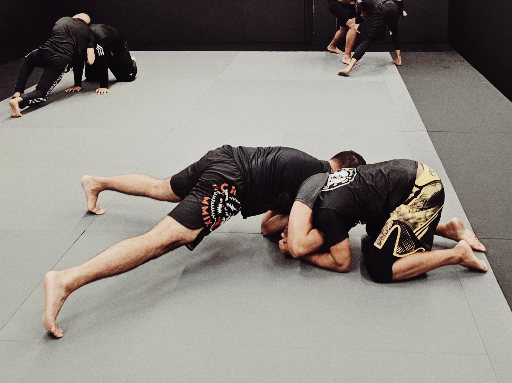 Submission Grappling No-Gi at Tigerstyle MMA
