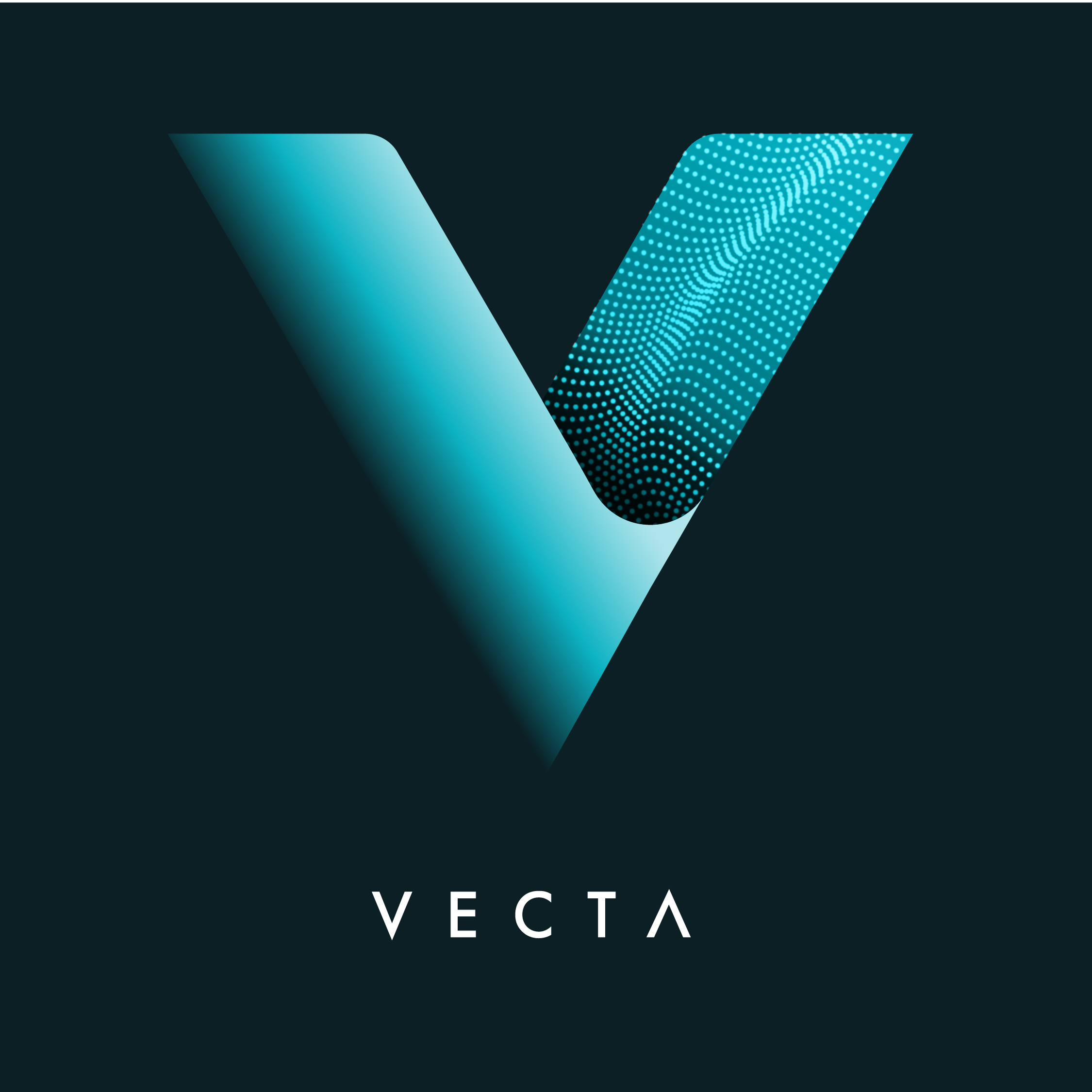 VECTA geometric V identity