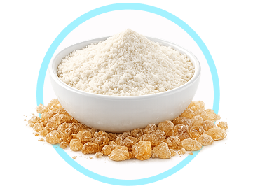 Prebiotics