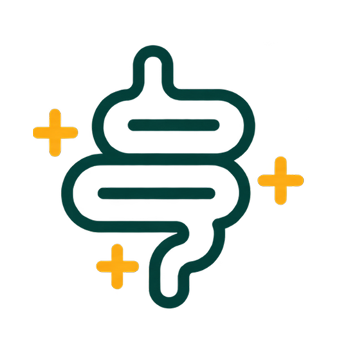 Gut Health